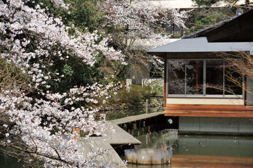 画像：春の庭園